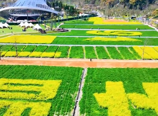 ����԰��԰��԰����Ƭ�Ͳ˻�������ۣ�������