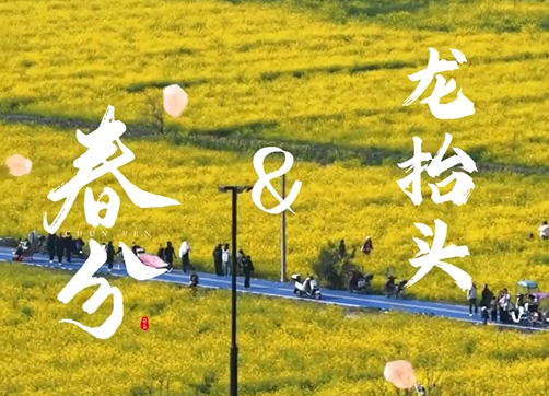 ����������̧ͷ���������¶���