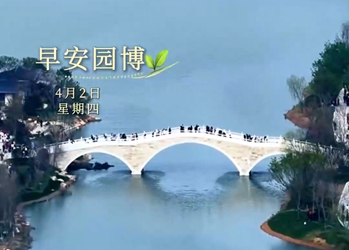 �簲԰�� | �峿��Լ������Ը������㣬���Ĵ��ݣ����з���