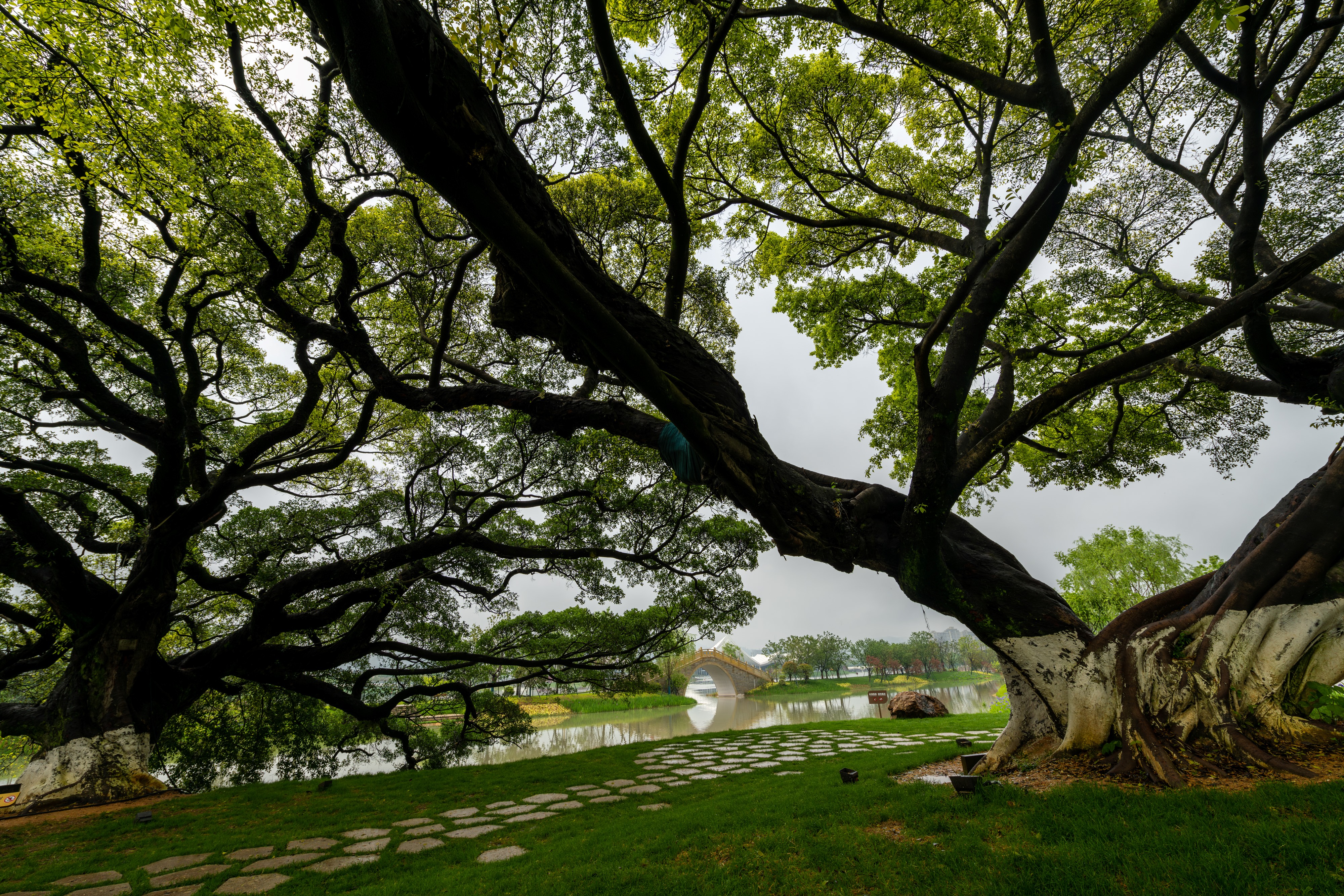 ����ӳ��