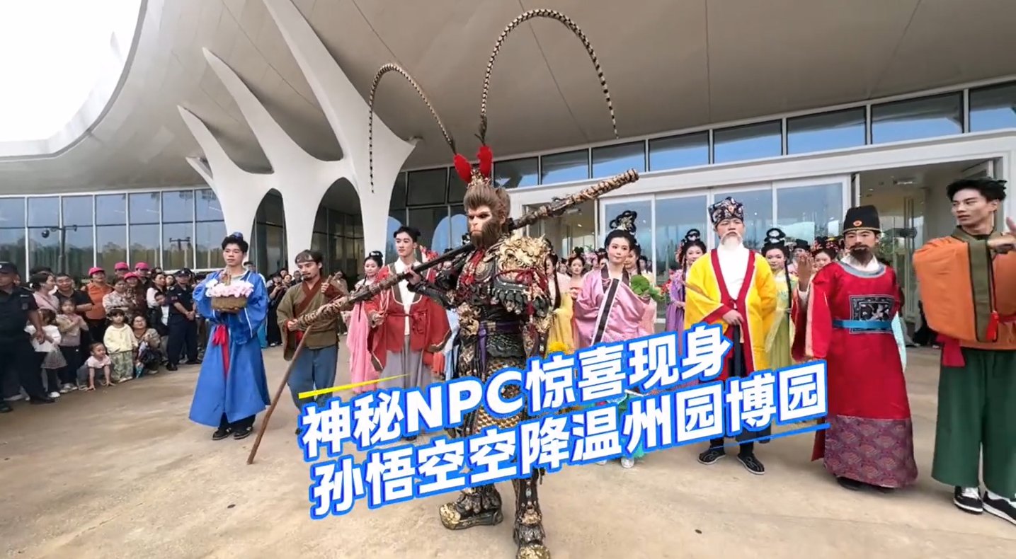 �������NPC����Ѳ�����������컹��~